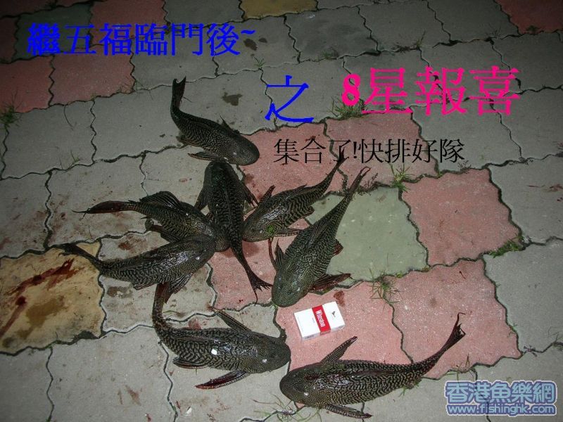 DSCN0214.JPG