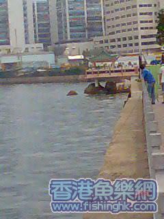 Image002.jpg