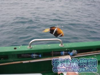 甘样出场"型"吗?