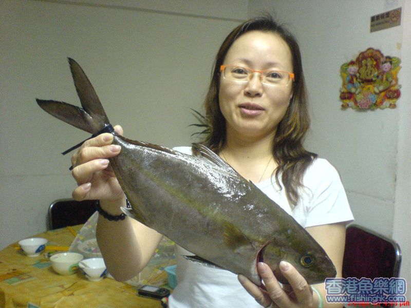 呢條咩魚????