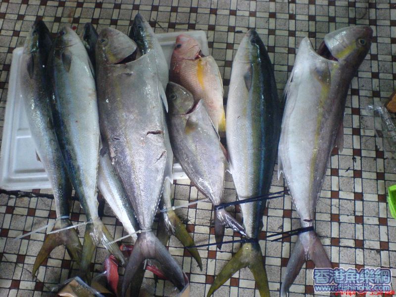 魚獲!!!!!!!