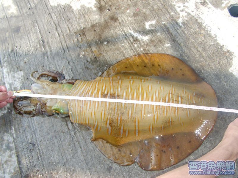 SANY0032.JPG
