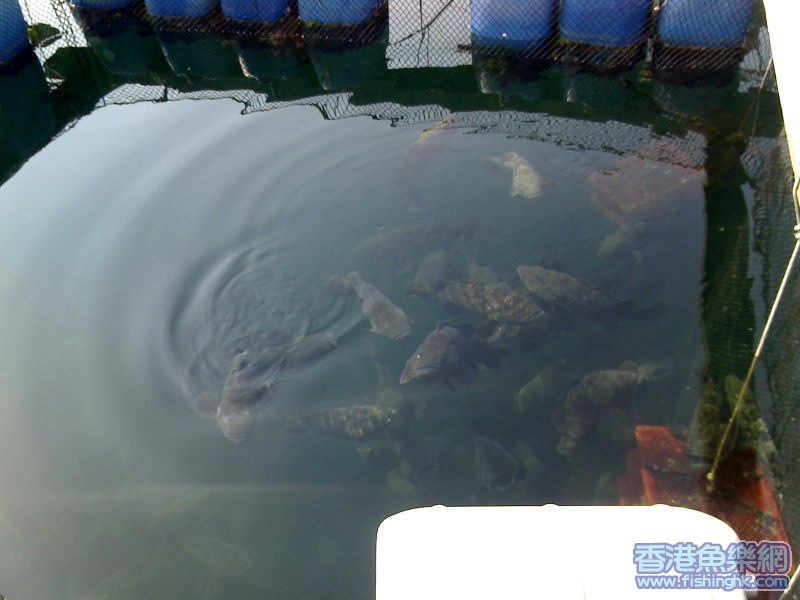 d班虎視眈眈