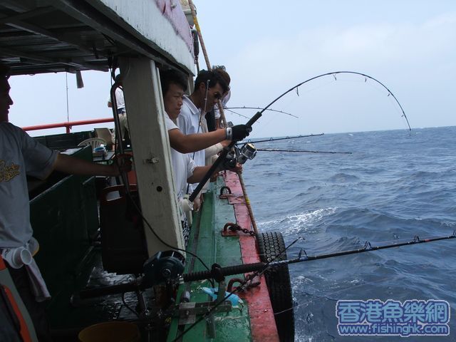 DSCF1377.jpg