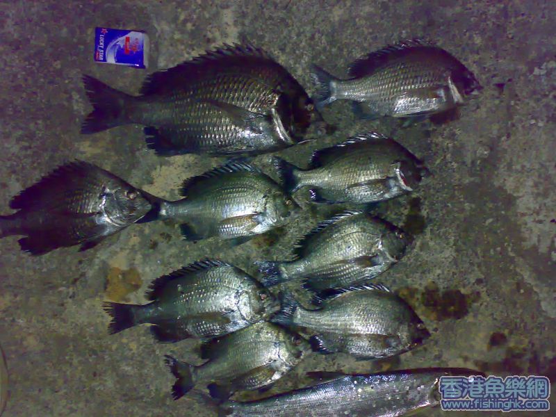 17122006105.jpg