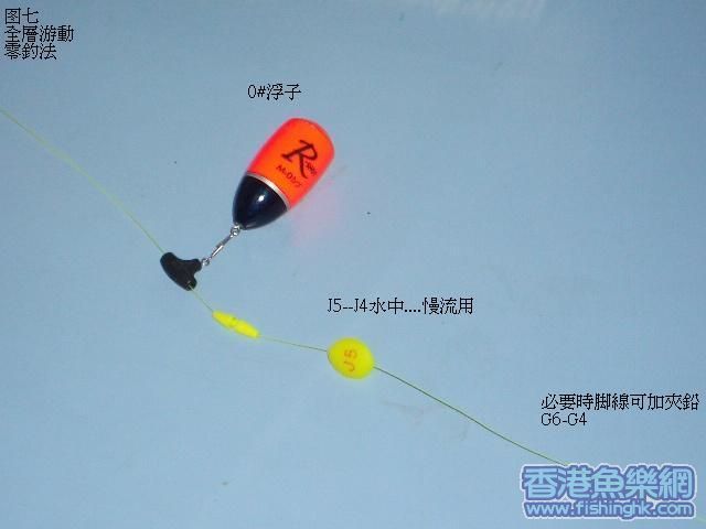 全層游动(慢流)