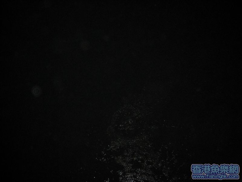 放生漣漪