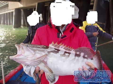 黄勒