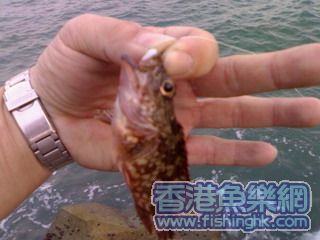 20070508176a.jpg