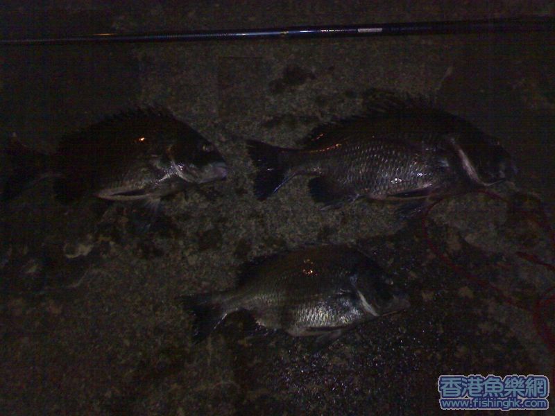 20061027133.jpg