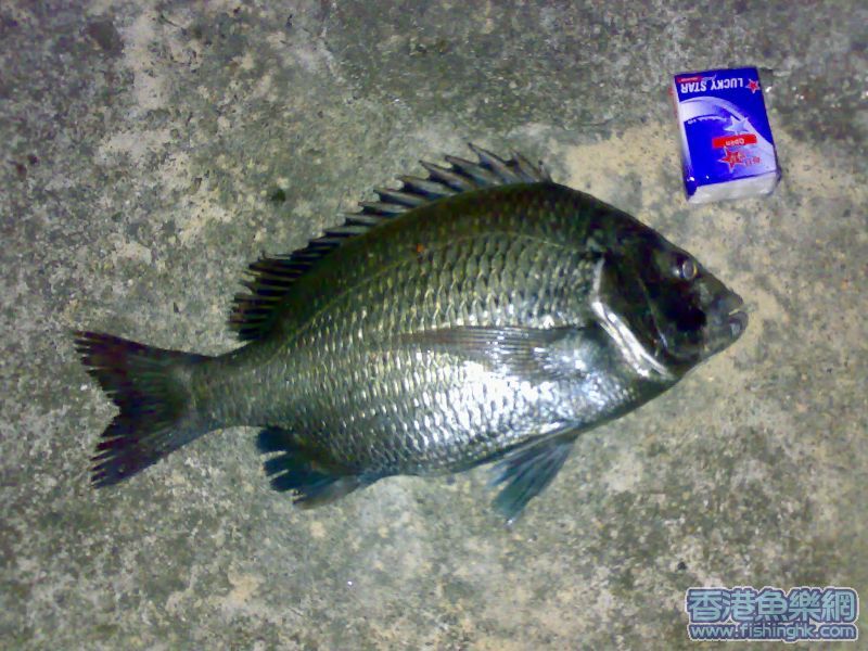 17122006106.jpg