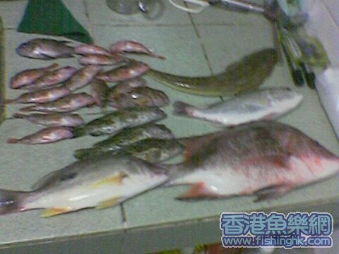 Image(10).jpg