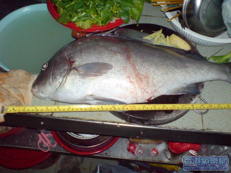 DSC00074.JPG