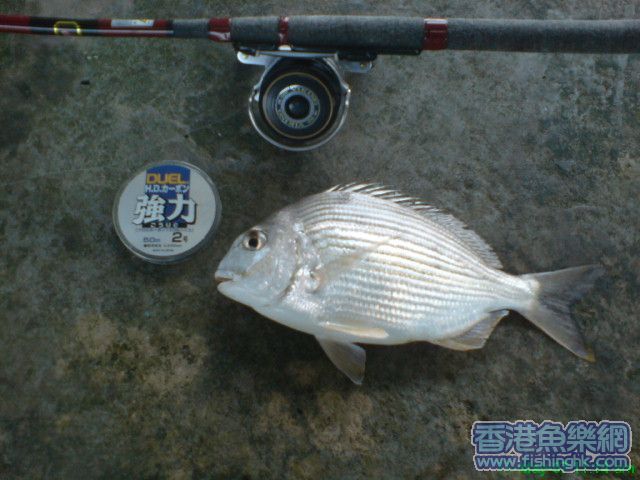DSC00586.JPG