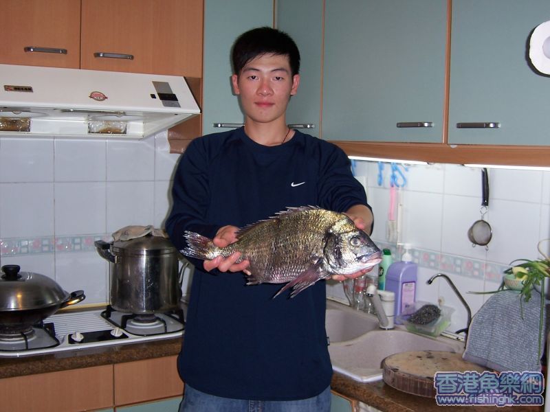 E條我ge.JPG