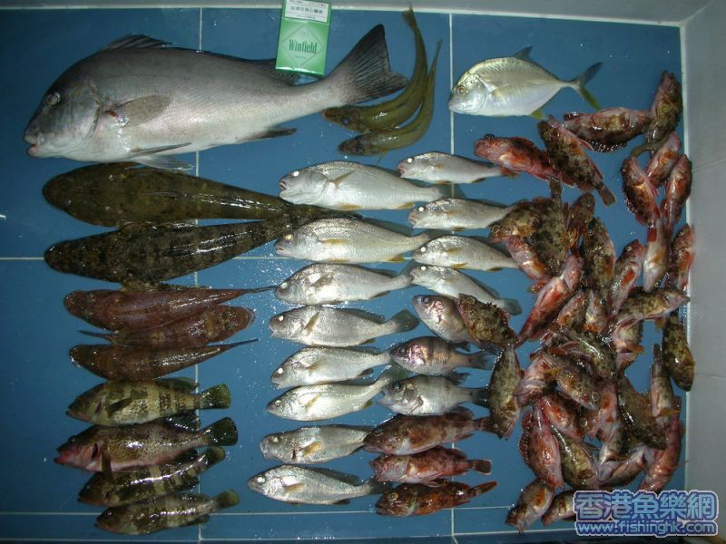 pic 2.jpg