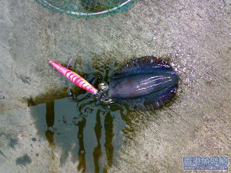 20070519066.jpg