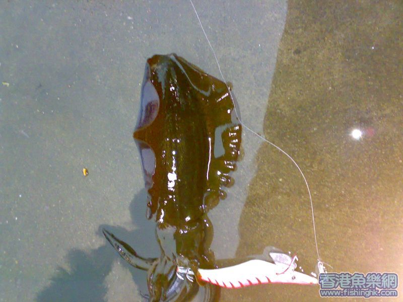 20070519064.jpg
