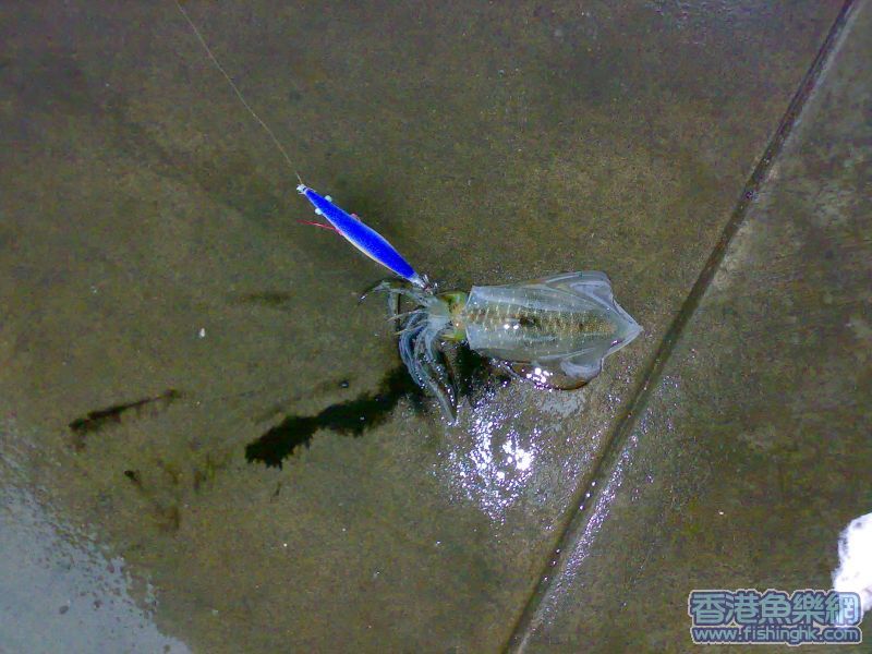 20070519062.jpg
