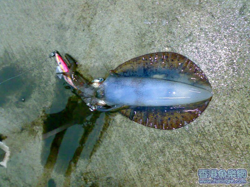 20070519067.jpg