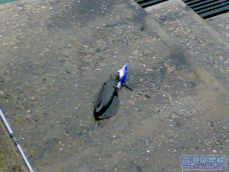 20070519060.jpg