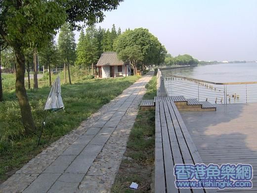 46.JPG