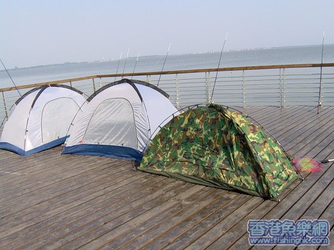 img014.jpg