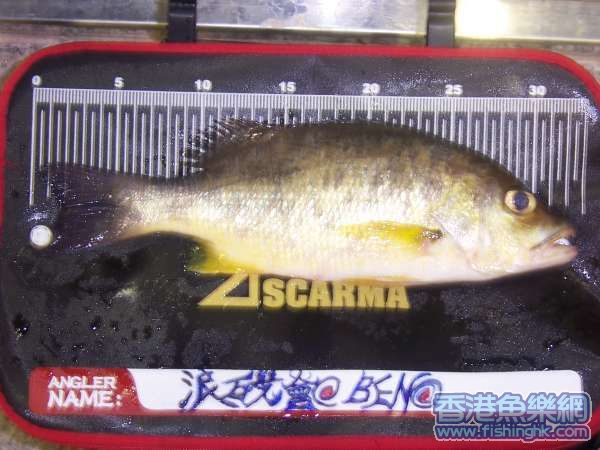 30cm火點