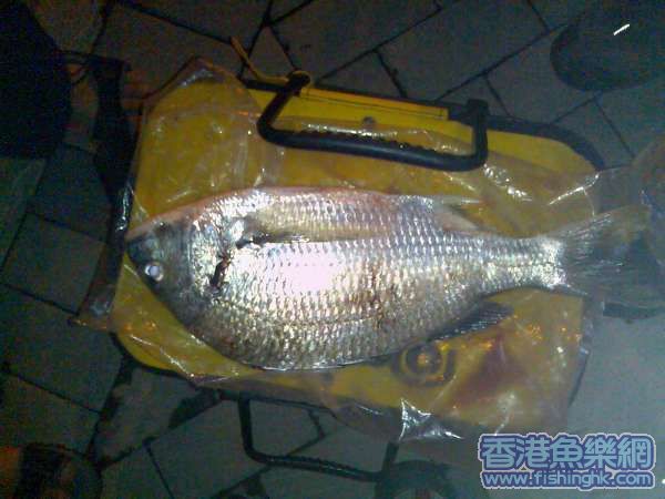 40 cm 餌袋