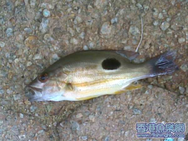 火點
