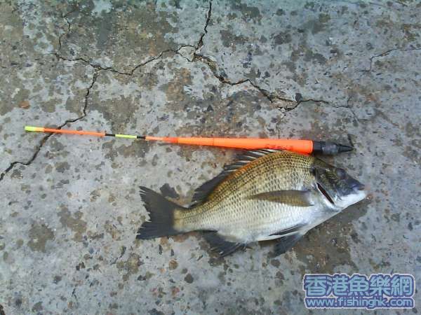 留意吓支標, 改裝後十分好用!