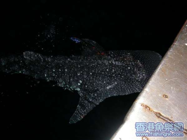 DSCN3159.JPG