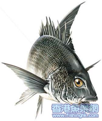 chinu.jpg