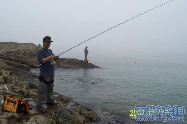 虎豹诱鲷