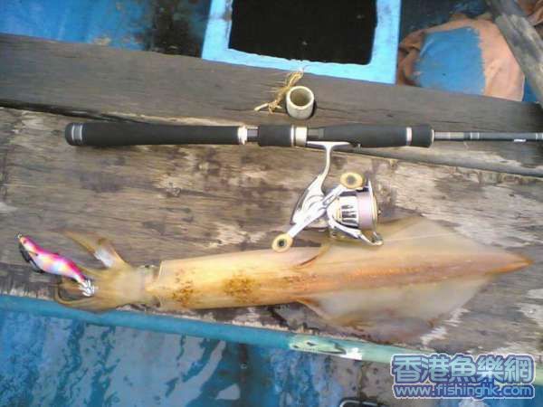 小魷BB.jpg