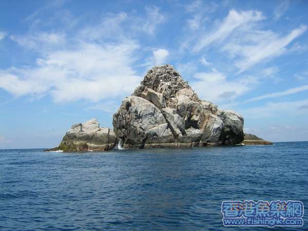 大青針