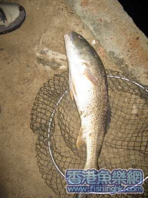 IMG_2609.jpg