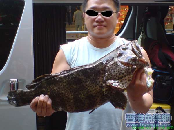 DSC00053-1.JPG