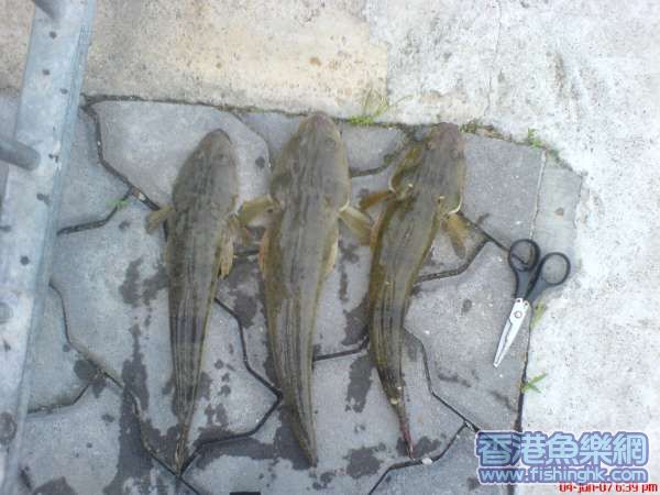 DSC01422.JPG