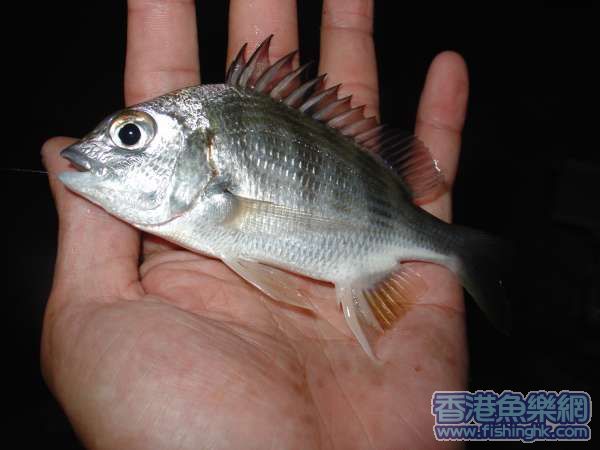 照片 028.jpg