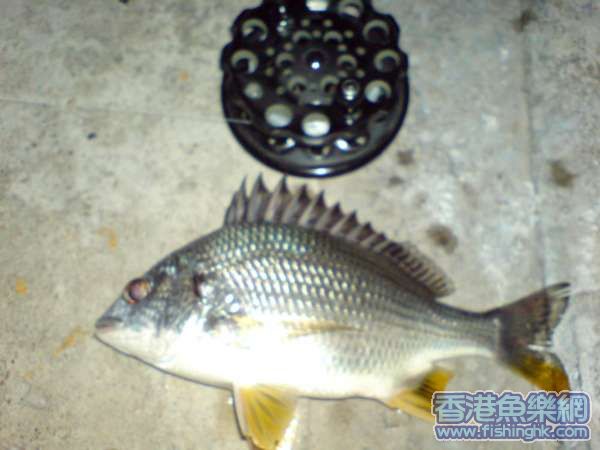 DSC00301.JPG