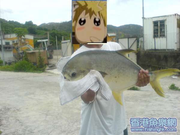 sdsad.JPG