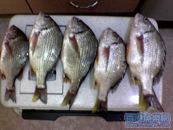 圖像013.jpg