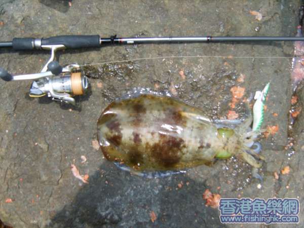 照片 076.jpg