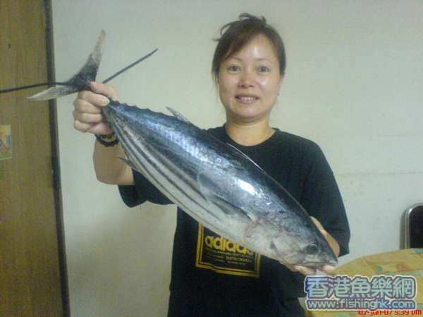 鰹魚!!!!