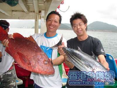 交代魚