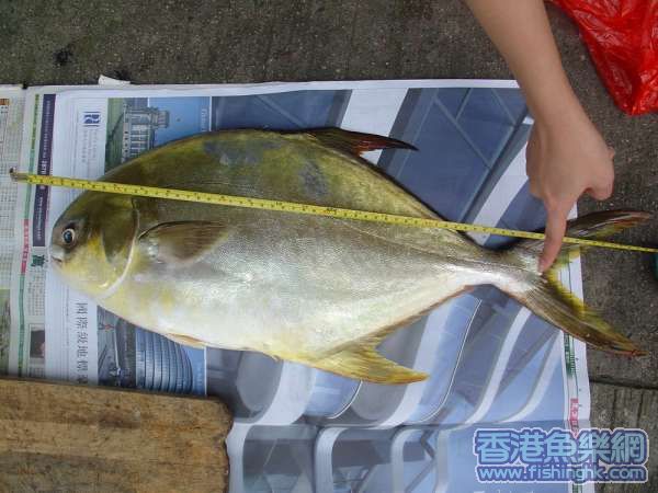 照片 020_resize.jpg