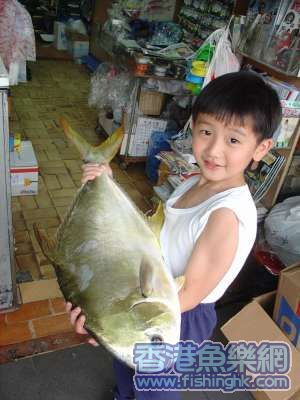 照片 017_resize.jpg