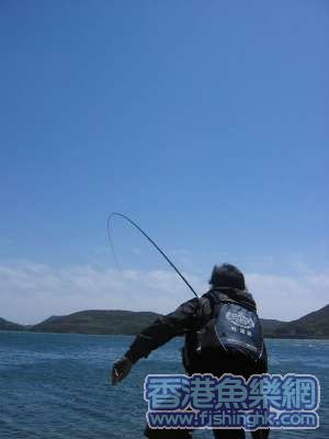 IMG_0081.jpg