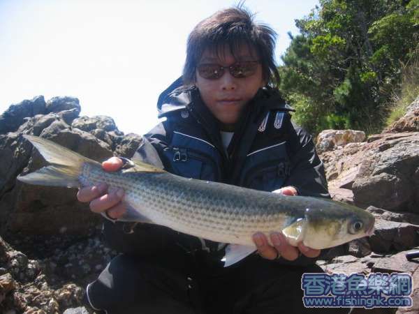 IMG_0086.jpg